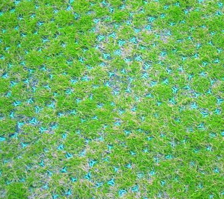 La grille de gravier d'herbe de pâturage s'applique aux rendus