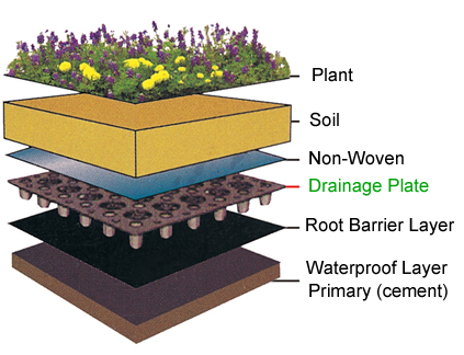 Instructions on How to Construct A Green Roof.