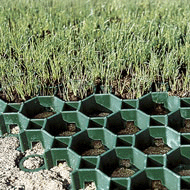 Einführung über Leiyuan Greening Solution Gras Grid Paver Series.