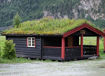 Преимущества зеленых крыш