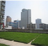 Leiyuan 녹색 지붕 제품