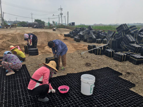 Actualice las noticias sobre la construcción de la rejilla del suelo de la granja de vaca del cliente de Corea del Sur