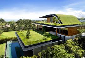 緑の屋根を建てることの生態学的利益は何ですか？