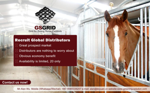 Recluta distributori globali di reti di cavalli paddock