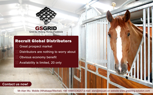 horse-paddock-grids-recruit-global-distributeurs