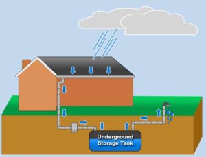 How Does Rainwater Harvesting Work?