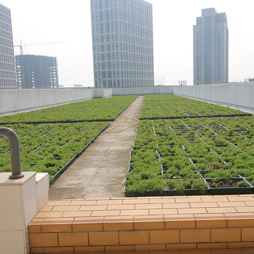 Plantbrickaprojekt på taket -- Xiamen Xiangan Xiandian Primary School