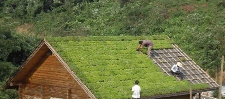 Bandejas de telhado verde, módulos de telhado verde, sistema de telhado verde modular, telhados verdes