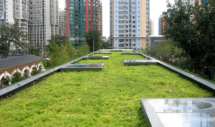 Groene dakbakken, groendakmodules, modulair groendaksysteem, groene daken