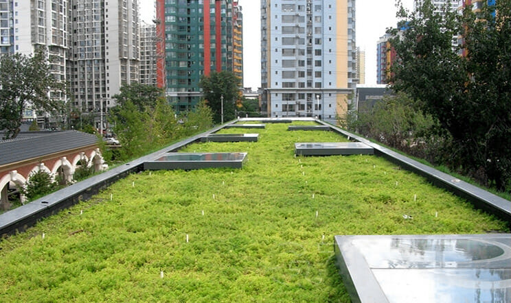 Green Roof Trays, Gründachmodule, Modulares Gründachsystem, Gründach