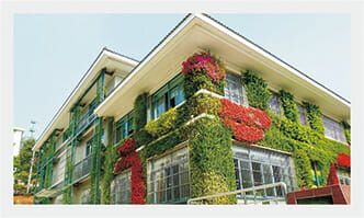 Green Wall Trays, Vertical Green Wall, Planted Wall Trays, Green Wall System
