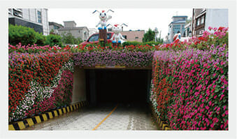 Green Wall Trays, Vertical Green Wall, Planted Wall Trays, Green Wall System