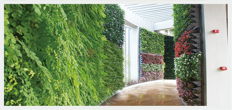 Vassoi a parete verde, parete verde verticale, vassoi a parete con piante, sistema a parete verde