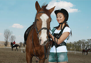 Horse Paddock Grids, Horse Paddock Mud Control Grid, solutions to muddy paddocks, solutions to muddy paddocks