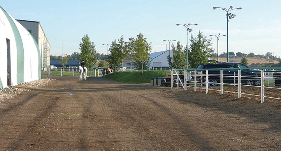 Horse Paddock Grids, Horse Paddock Mud Control Grid, solutions to muddy paddocks, solutions to muddy paddocks