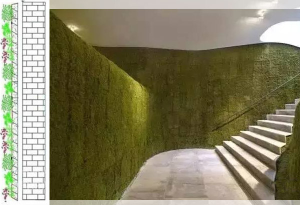 Sex metoder för att gröna väggar