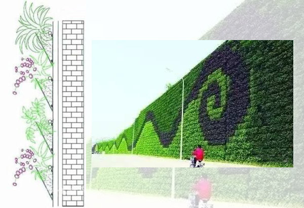Sex metoder för att gröna väggar