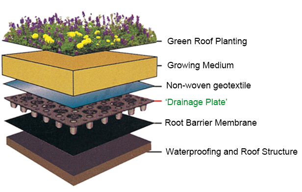 Denken Sie darüber nach, 'Drainage Plate' auf Ihrem Dach zu verwenden