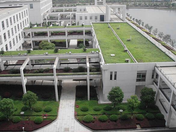 Three Types of Green Roof