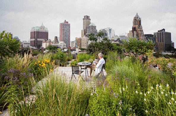 Three Types of Green Roof