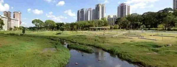 «Ville des éponges» à Singapour: normes strictes et bien réglementées
