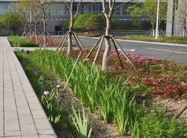 Rainwater Collection And Utilization In Road Landscape Design