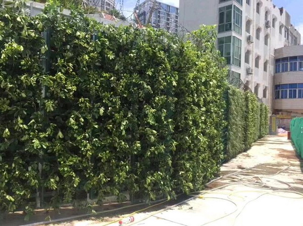 New Wall Greening Planter GF50156