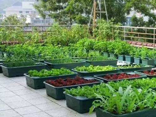 Comment faire un jardin sur le toit?