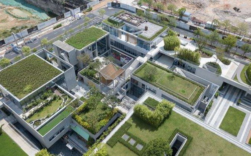 Quali sono i vantaggi di un giardino sul tetto?