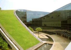 Zielony dach Uniwersytetu Technologicznego Nanyang w Singapurze