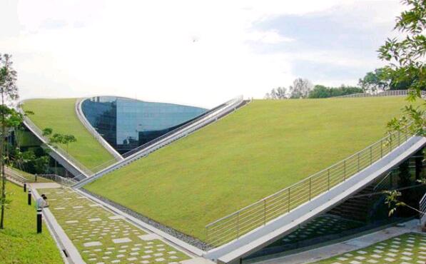 シンガポールの南洋理工大学の緑の屋根