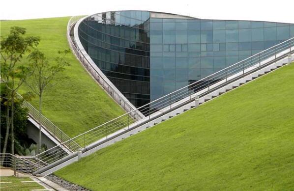 Green roof of Nanyang Technological University, Singapore