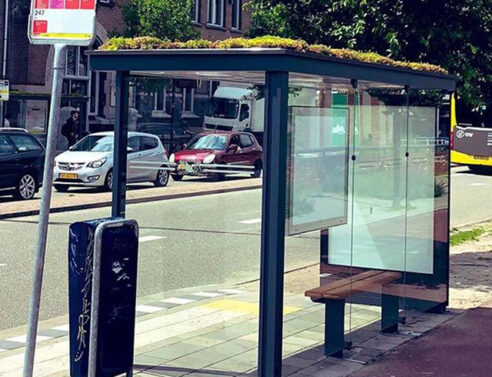 Holland förvandlar över 300 busshållplatser till ekosystem för gröna tak för bin