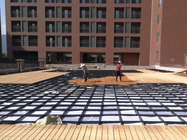 Modular roof greening of Malaysia International School