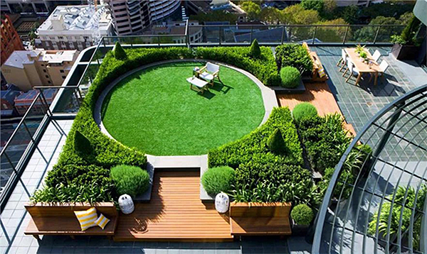 Green roofs mitigate urban heat islands