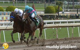 Horse Paddock Mud Control Grid, solutions aux paddocks boueux, solutions aux paddocks boueux