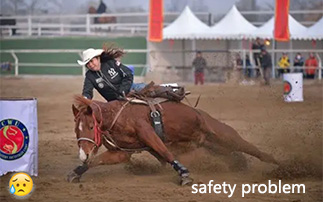 Horse Paddock Mud Control Grid, soluciones para potreros embarrados, soluciones para potreros embarrados