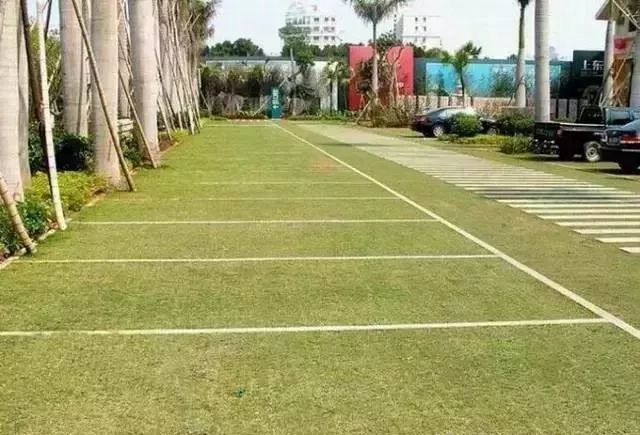 The role of grass planting grid in Eco Parking Lot