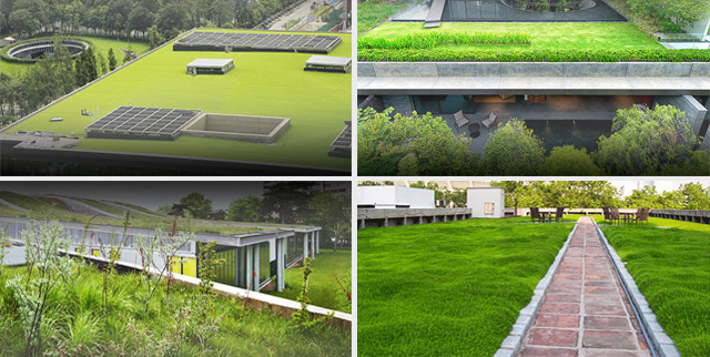 Vassoi semicircolari modulari Sedum Contenitore per fioriere Tetto verde