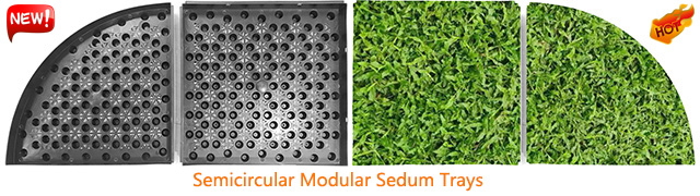 Semicircular Modular Sedum Trays Planter Container Green Roof