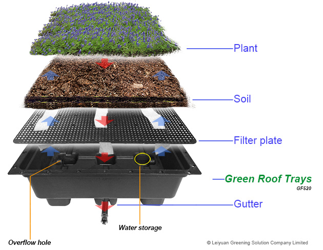 Sistema modular de bandejas plásticas para telhado verde Sedum