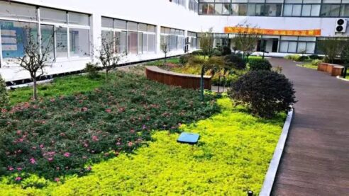 « Élevez votre espace avec les CELLULES HOENSOEY : la révolution du système de toiture verte