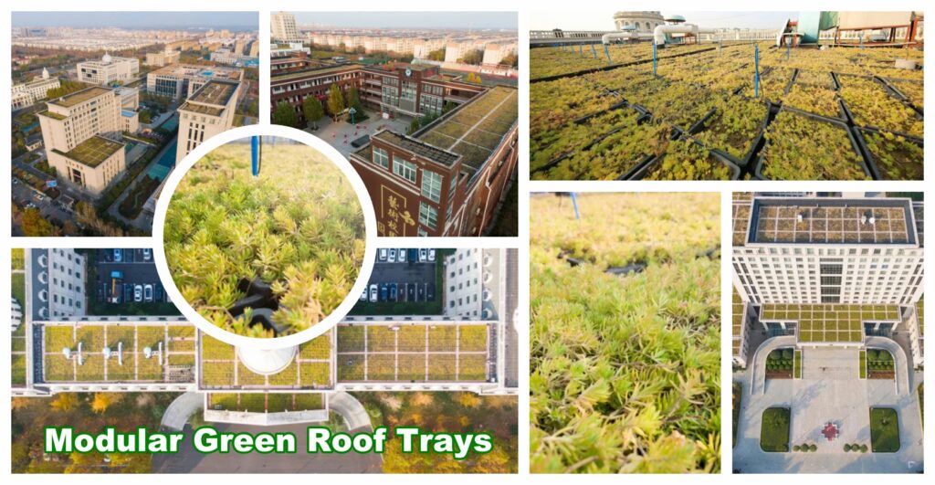 De groene revolutie: stedelijke landschappen transformeren met modulaire groendaksystemen