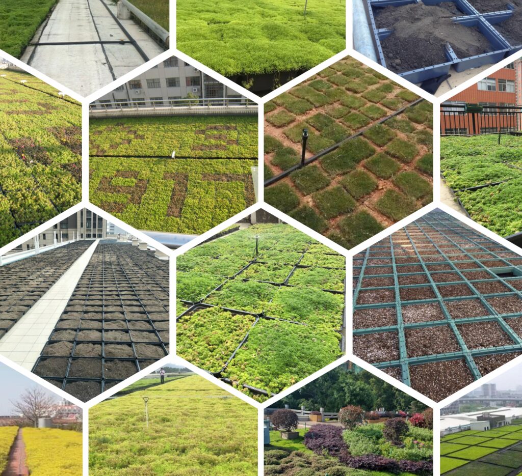 녹색 혁명: 모듈식 녹색 지붕 시스템으로 도시 경관 변화